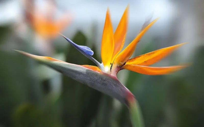 mau_4193n.jpg