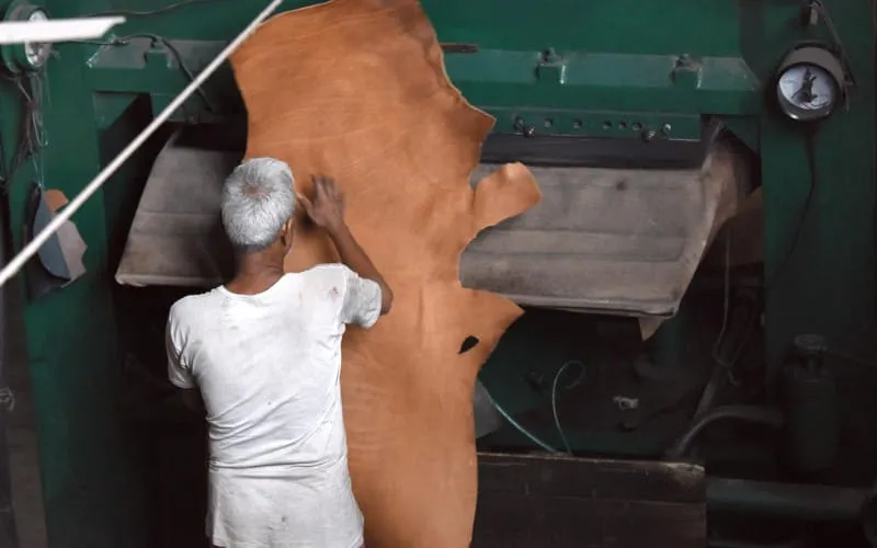 ind_5907.jpg